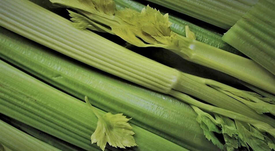 Celer pomaže u normalizaciji libida