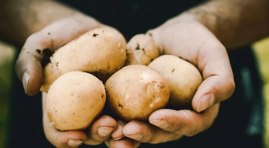 Krumpir ima pozitivan učinak na zdravlje muškaraca
